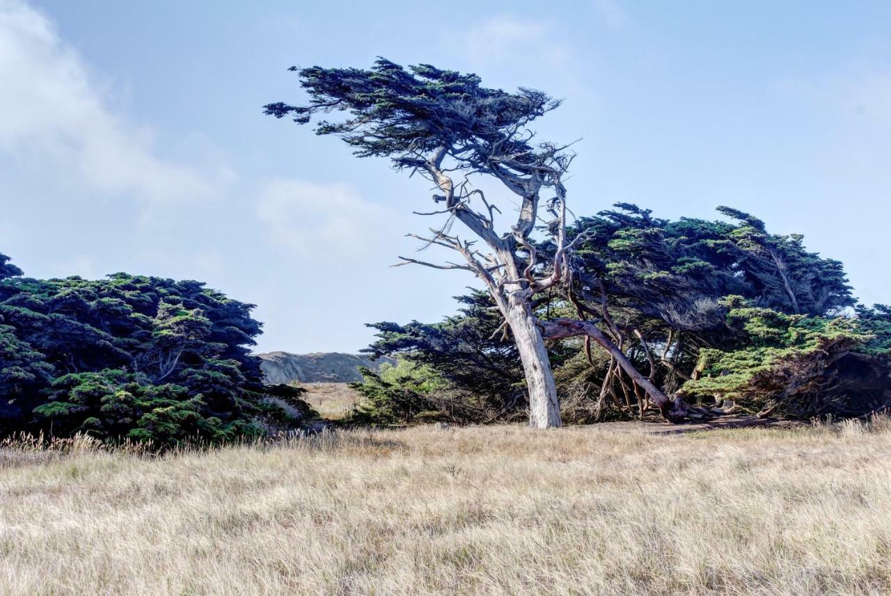 Bayside Cottage Bodega Bay Exterior foto